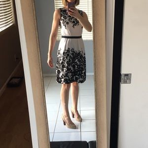 American Living black & white garden dress